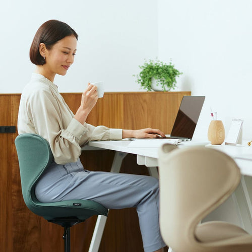 【獨家組合】Style Chair SMC 健康護脊電腦椅 輕奢款+CORKCICLE 三層真空易口瓶 750ML