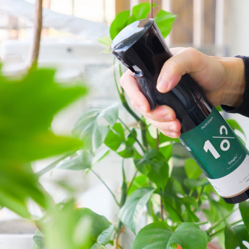 1%植物保養噴霧 300 ml - 3入組