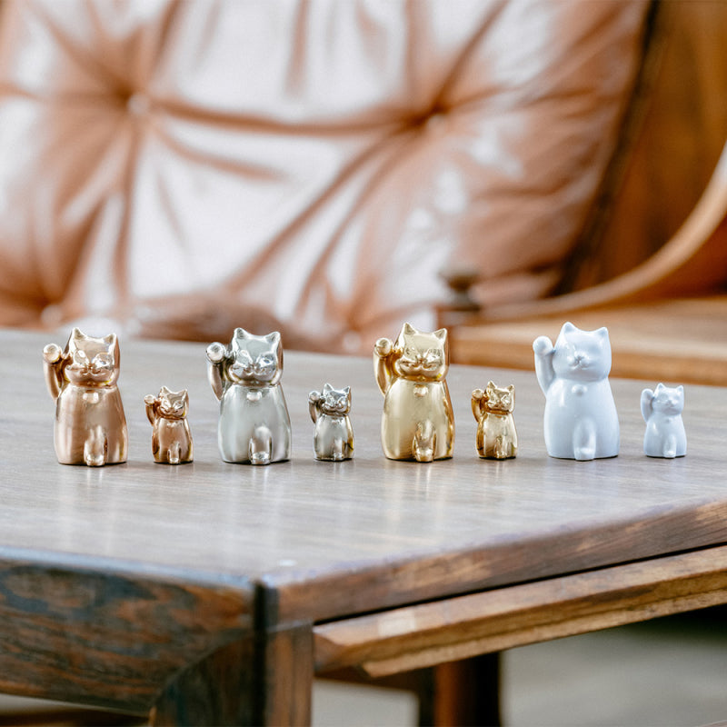 單隻幼貓｜無香氛