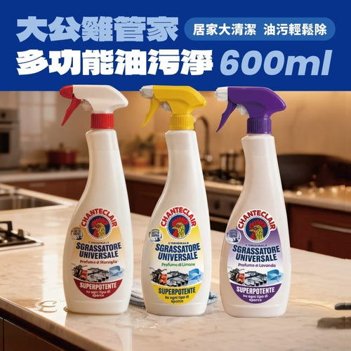 油污淨600g