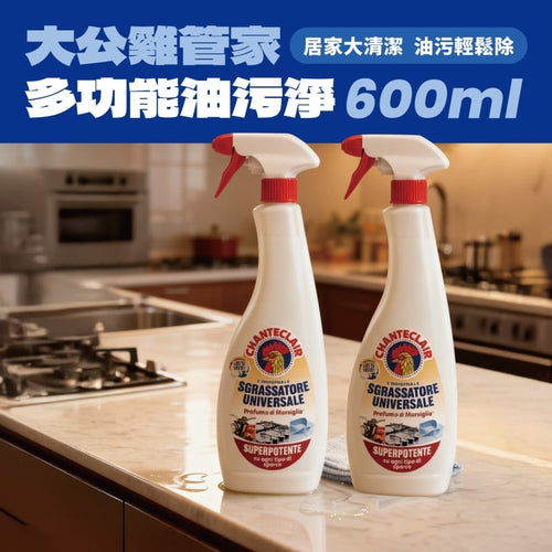 油污淨600g二入組