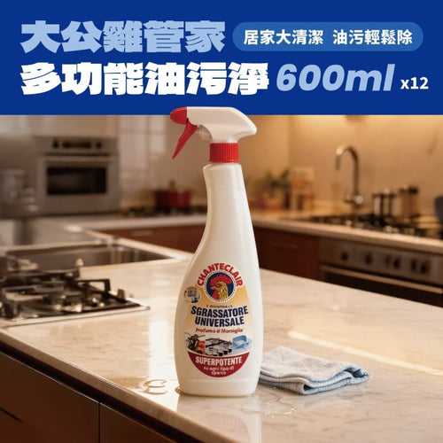 油污淨600g十二入組