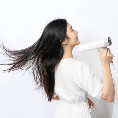 全球電壓無刷吹風機