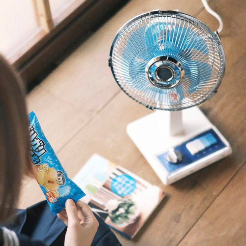 10吋復古電風扇 KLF-G035 (藍白/綠白) 交換禮物/生日禮物/送禮首選