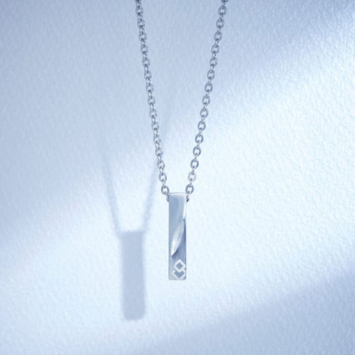 【獨特新品】COA系列 ZEST- TWIST不鏽鋼磁石項鍊