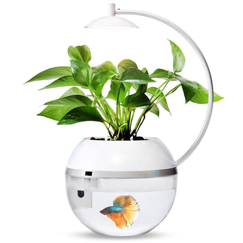 香草與魚2.0智能版 Herb&Fish Connect.