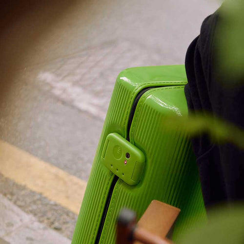 PISTACHIO 2 STRIPED 開心果二代 24寸 行李箱登機托運抗菌