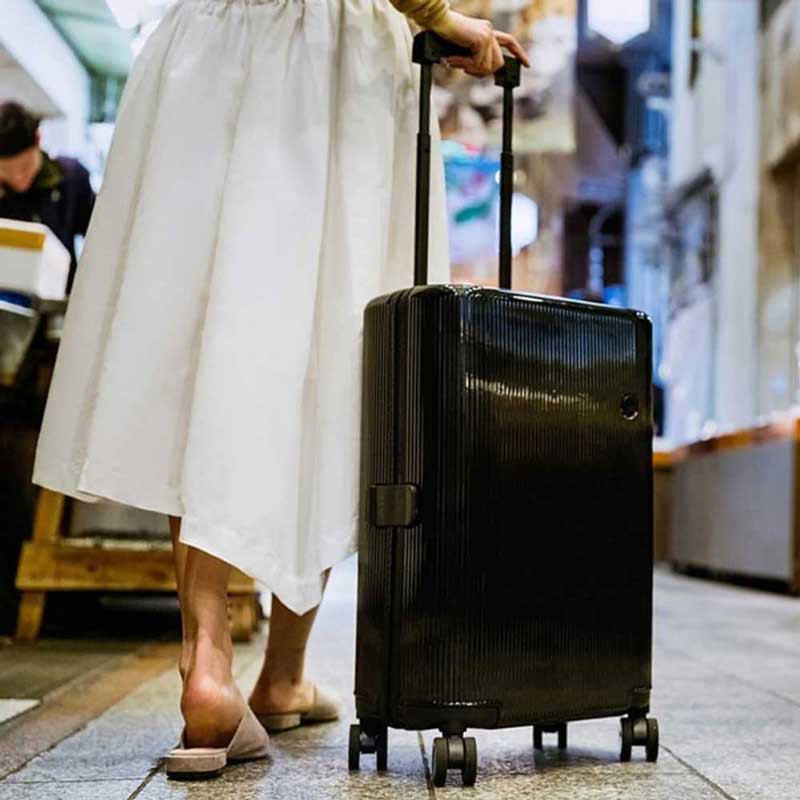PISTACHIO STRIPED 開心果 24寸 行李箱登機托運