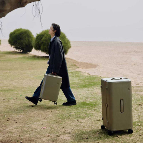 PISTACHIO 2 STRIPED 開心果二代 28寸 行李箱登機托運抗菌