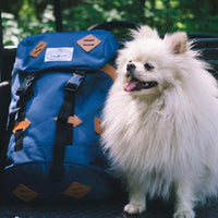 冒險旅行露營多用途後背包 - 深藍