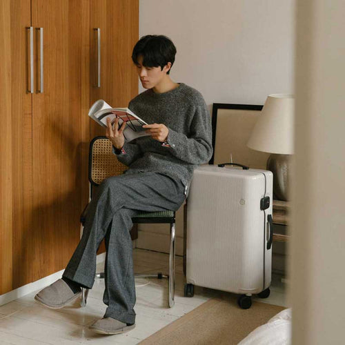 PISTACHIO STRIPED 開心果 24寸 行李箱登機托運