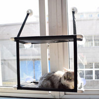 吸盤式貓咪吊床(單+雙)套組