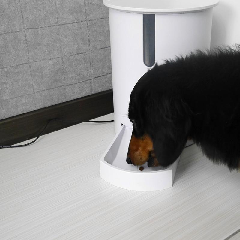 智慧迷你寵物餵食器 F3 Wi-Fi-TW