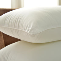 抗菌透氣健康枕(2入)