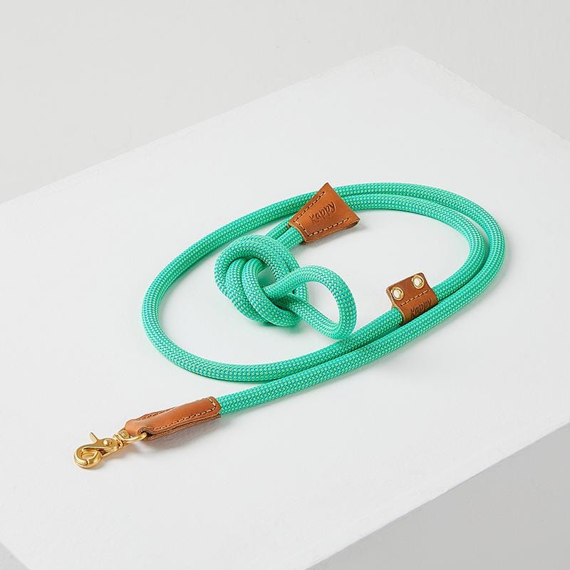 高質感手工寵物編織牽繩 - 3色