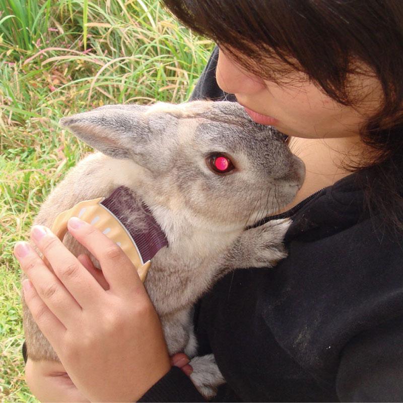 日本製 寵物貝殼梳 E1 軟質彈力梳頭  短毛貓、狗、兔使用