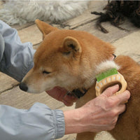日本製  寵物貝殼梳 E2 硬質彈力梳頭  短毛貓、狗、兔使用