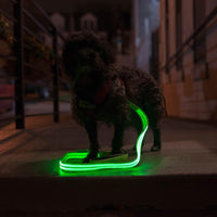 安全LED發光寵物牽繩