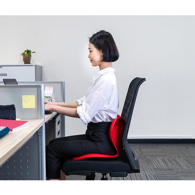 Style Body Make Seat Standard 美姿調整椅(黑/紅/棕) 送Style 小熊手提袋 Style Body Make Seat Standard 美姿調整椅(黑/紅/棕) 送Style 小熊手提袋