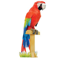 DIY 動物紙模型 - 鸚鵡